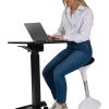 SUN-FLEX®EASYDESK PRO: SUN-FLEX®EASYDESK PRO Art.no. 600808